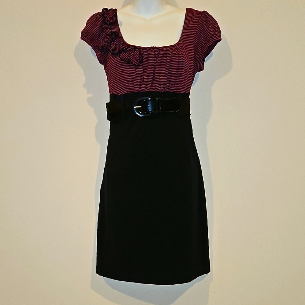 Striped Purple and Black Dress with Belt